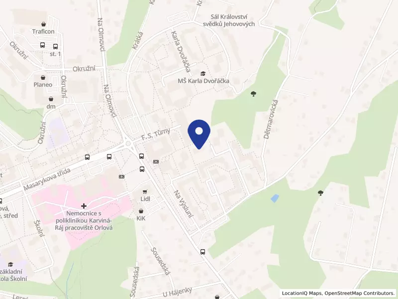 Sociální služby města Orlová, příspěvková organizace, Adamusova 1269, 73514 Orlová - Lutyně, IČO 72076674
