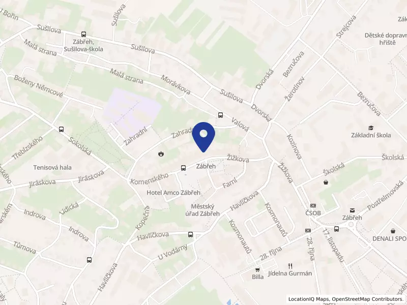 Pavfio CZ s.r.o., Masarykovo náměstí 13/12, 78901 Zábřeh - Zábřeh, IČO 09699473