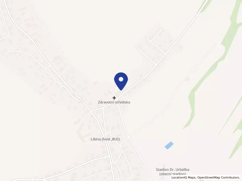 Sociální služby Libina, příspěvková organizace, Libina, 540, 78805 Libina - Libina, IČO 75003988