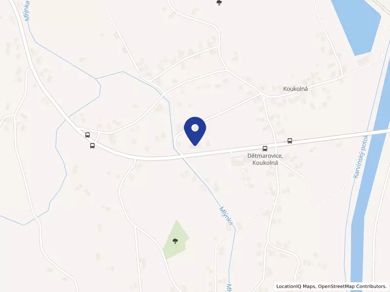 DAFO - koření, s.r.o., 1165, 73571 Dětmarovice - Dětmarovice, IČO 26861593