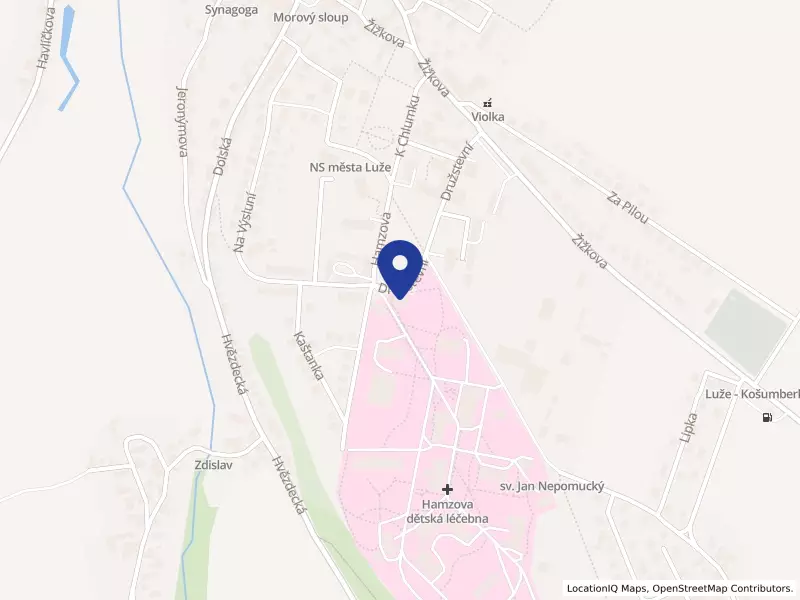 Hamzova odborná léčebna pro děti a dospělé, 80, 53854 Luže - Košumberk, IČO 00183024