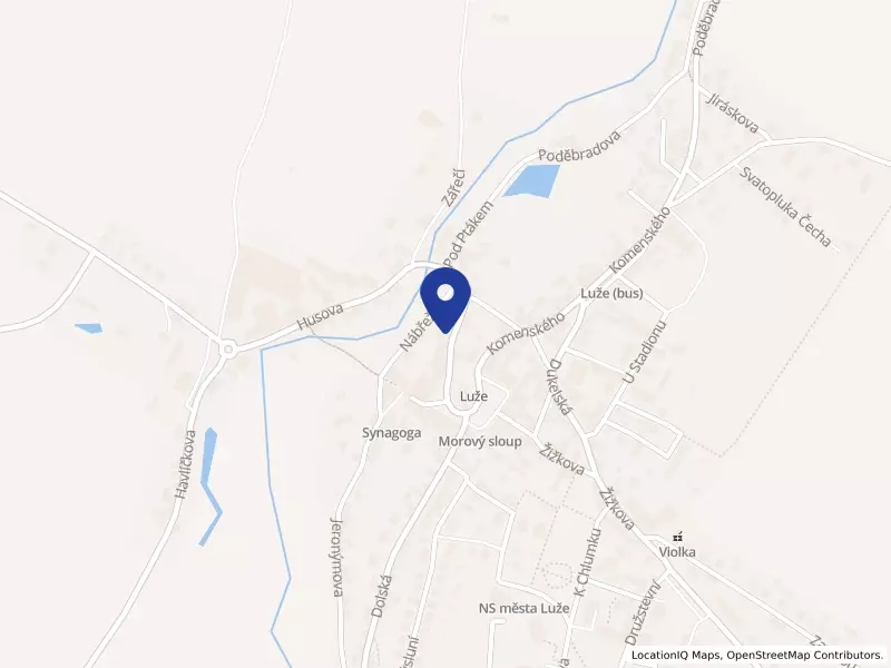 ORTHO-AKTIV, spol. s r.o., Husova 54, 53854 Luže - Luže, IČO 25096869