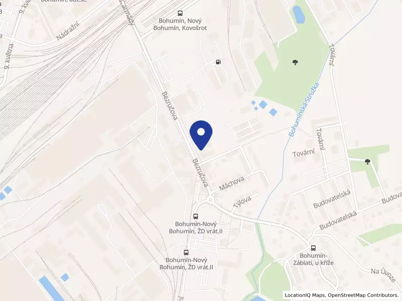Základní škola a Mateřská škola Bohumín Bezručova 190 okres Karviná, příspěvková organizace, Bezručova 190, 73581 Bohumín - Nový Bohumín, IČO 75029111