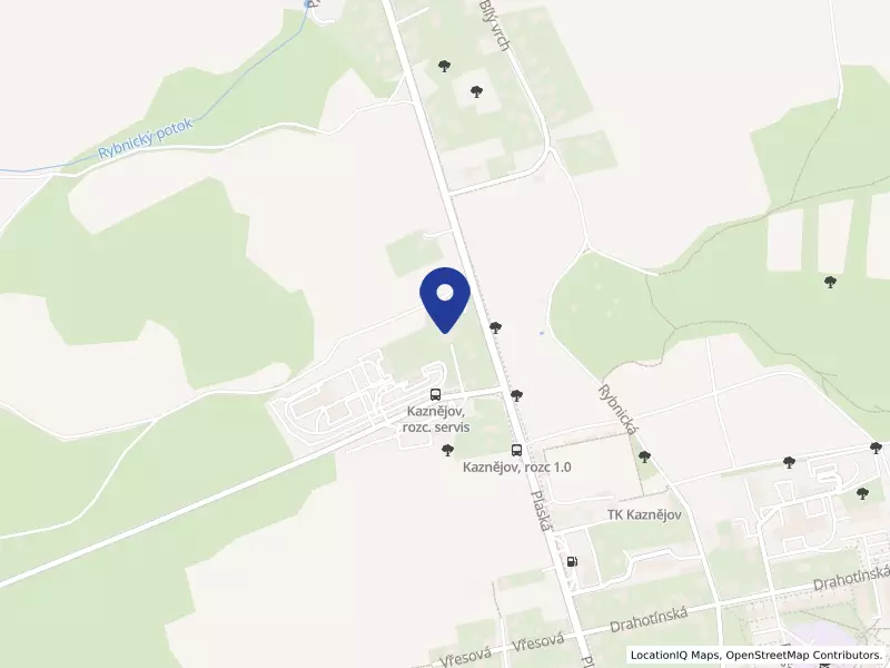 PAŠEK s.r.o., 165, 33151 Rybnice - Rybnice, IČO 27963781