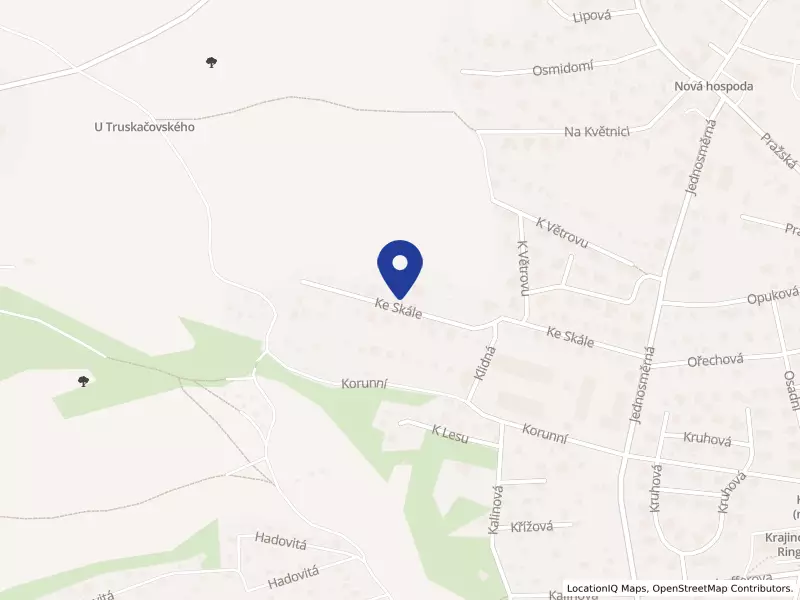 VIZARD s.r.o., Ke Skále 1072, 25168 Kamenice - Kamenice, IČO 65414349