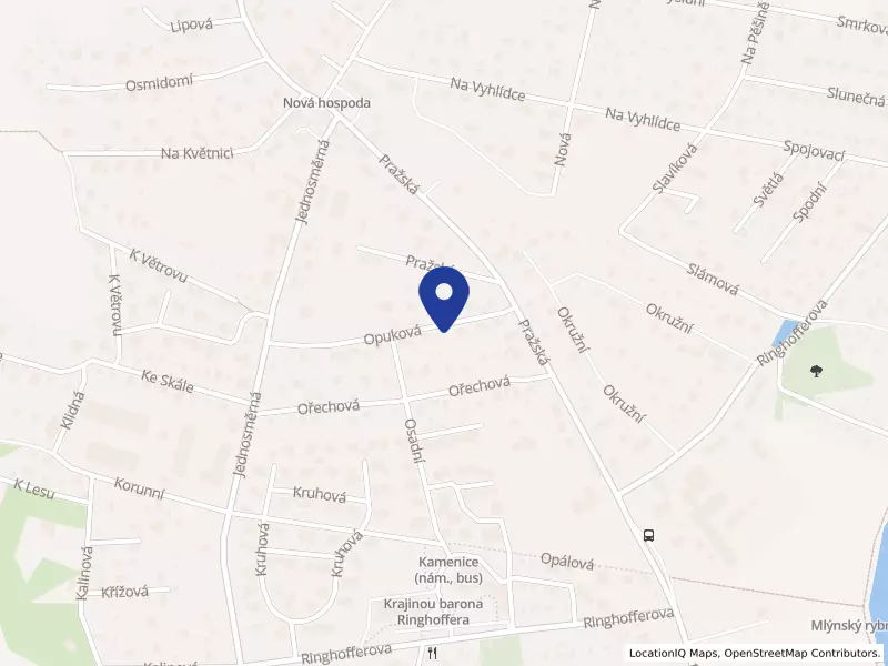 Bene Meat Technologies a.s., Opuková, 25168 Kamenice - Olešovice, IČO 08858209