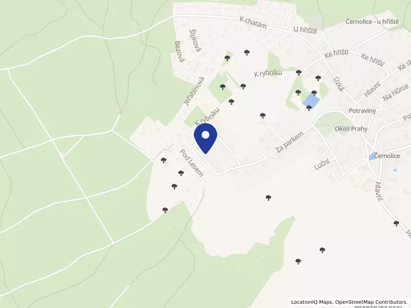 RE InvestCOM CZ s.r.o., Nad loukou 503, 25210 Černolice - Černolice, IČO 27956024