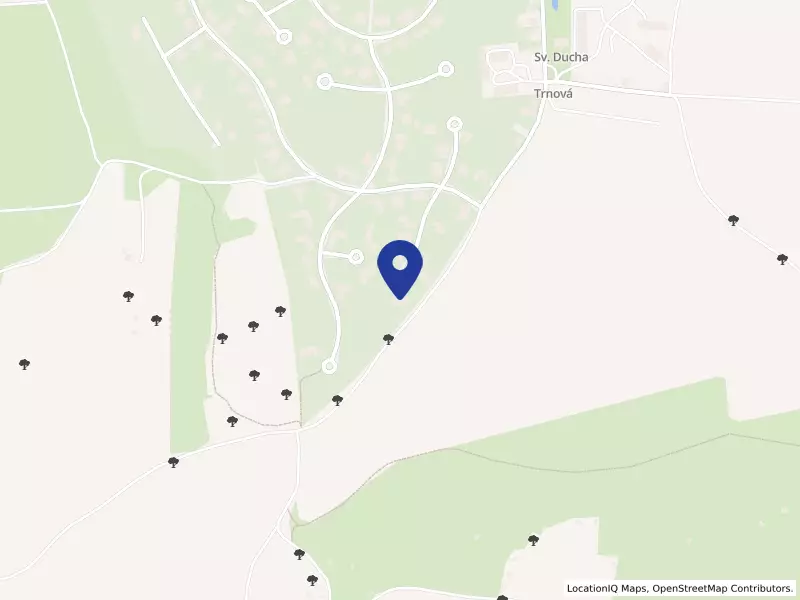 LIRAN, spol. s r.o., 115, 25210 Trnová - Trnová, IČO 26179296