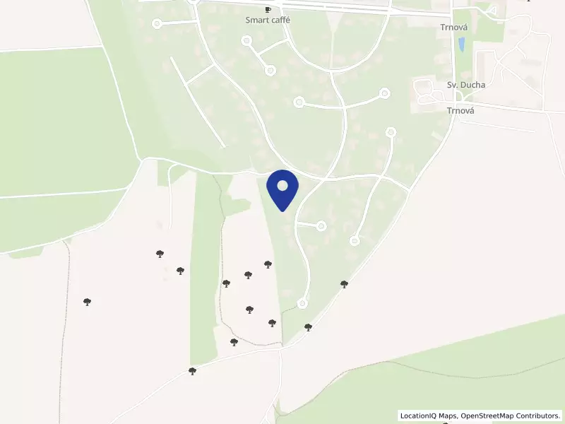 AVANGARD TRAVEL s.r.o., Trnová 97, PSČ 25210, IČO 27230180