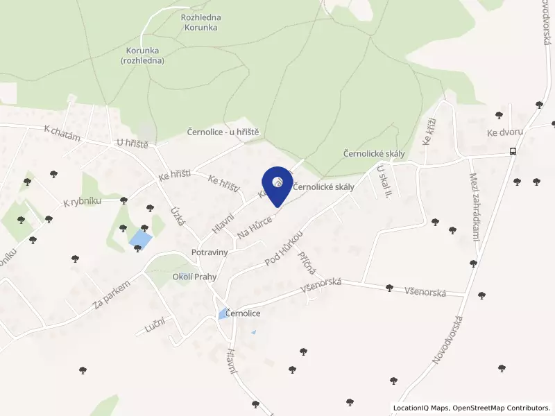 NaChleba s.r.o., Na Hůrce 49, 25210 Černolice - Černolice, IČO 02421631