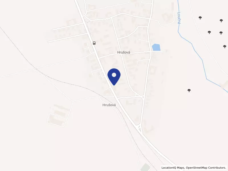 NK Bus s.r.o., 55, 56555 Hrušová - Hrušová, IČO 06620132