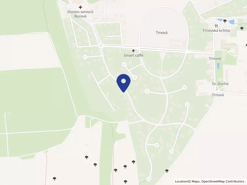 Kostanstav s. r. o., 249, 25210 Trnová - Trnová, IČO 26690586