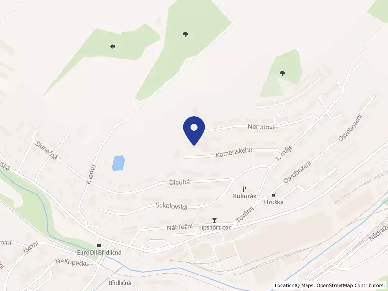 Základní škola Břidličná, okres Bruntál, Komenského 360, 79351 Břidličná - Břidličná, IČO 45234604