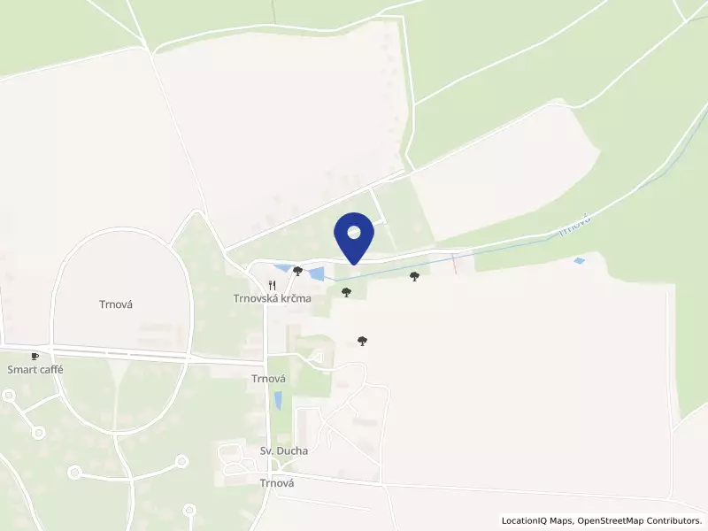 Wrbna Racing, a.s., 38, 25210 Trnová - Trnová, IČO 25058614