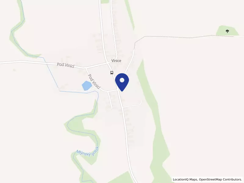 Hospůdka na Vinici s.r.o., 47, 28601 Vinaře - Vinice, IČO 07884818