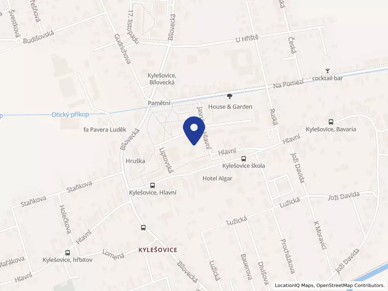 ANIMA VIVA z. s., Liptovská 1045/21, 74706 Opava - Kylešovice, IČO 26591014