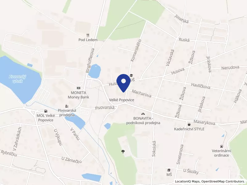 Základní škola Velké Popovice příspěvková organizace, Velké Popovice, Komenského 5, 25169 Velké Popovice - Velké Popovice, IČO 75031540