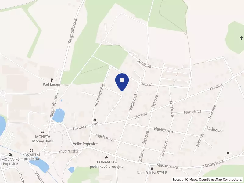 DAVITA, s.r.o., Velké Popovice, Palackého 205, 25169 Velké Popovice - Velké Popovice, IČO 27185788