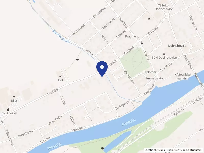 Dětský domov se školou, středisko výchovné péče, základní škola a školní jídelna Dobřichovice, Pražská 151, 25229 Dobřichovice - Dobřichovice, IČO 61384810