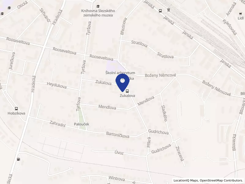 Art Consultancy s.r.o., Gudrichova 1332/6, 74601 Opava - Předměstí, IČO 29457009