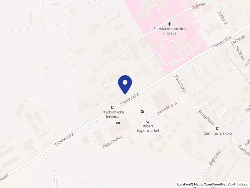 Psychiatrická nemocnice v Opavě, Olomoucká 305/88, 74601 Opava - Předměstí, IČO 00844004