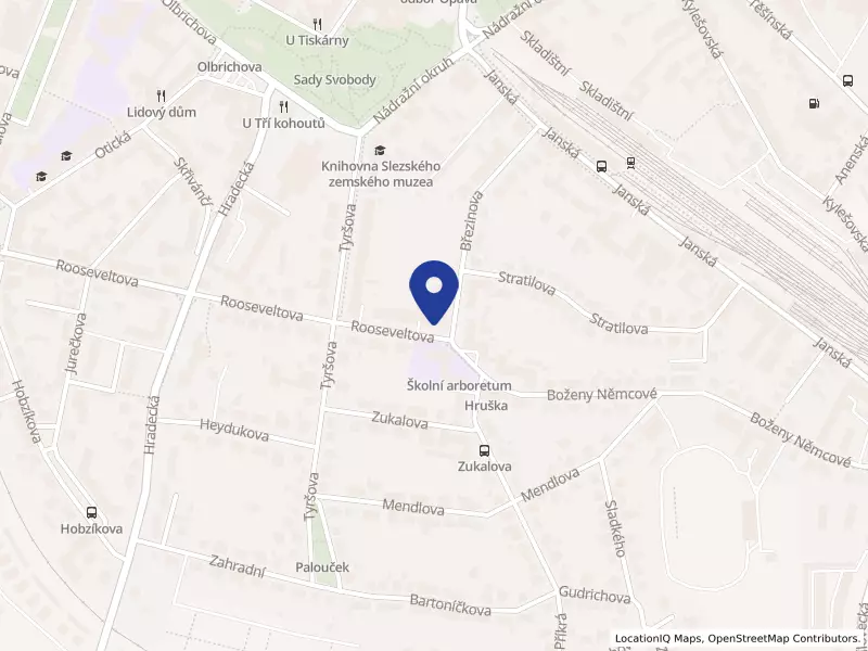 Česká provincie Kongregace Dcer Božské Lásky, Rooseveltova 886/47, 74601 Opava - Předměstí, IČO 00494453
