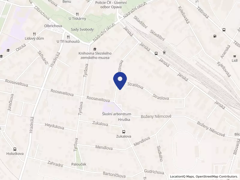 Zdraví a péče s.r.o., Opava, Březinova 1367/25, 74601 Opava - Předměstí, IČO 07554575
