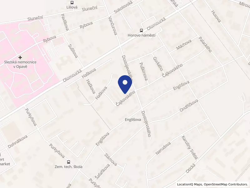 POLY, spol. s r.o., Čajkovského 2696/32, 74601 Opava - Předměstí, IČO 13644491
