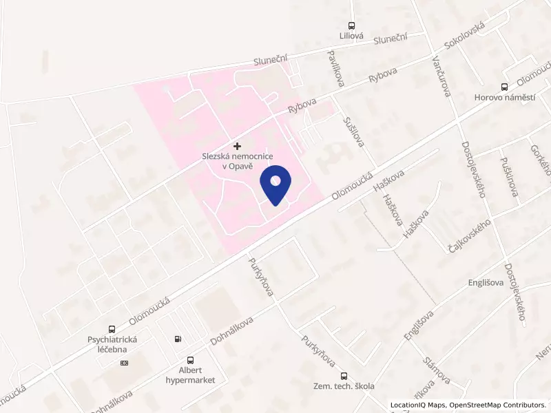 Slezská nemocnice v Opavě, příspěvková organizace, Olomoucká 470/86, 74601 Opava - Předměstí, IČO 47813750