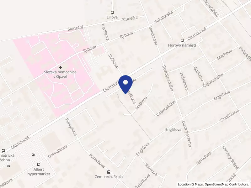 RS ŇAMKA s.r.o., Olomoucká 2421/75, 74601 Opava - Předměstí, IČO 02655250