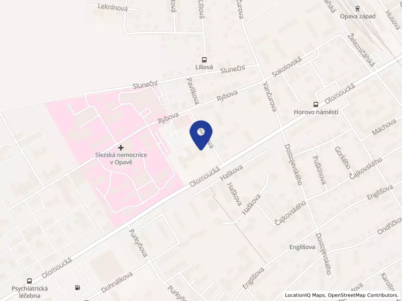 MEDEA DOMÁCÍ PÉČE OPAVA s.r.o., Opava, Sušilova 1751/1, 74601 Opava - Předměstí, IČO 27767451