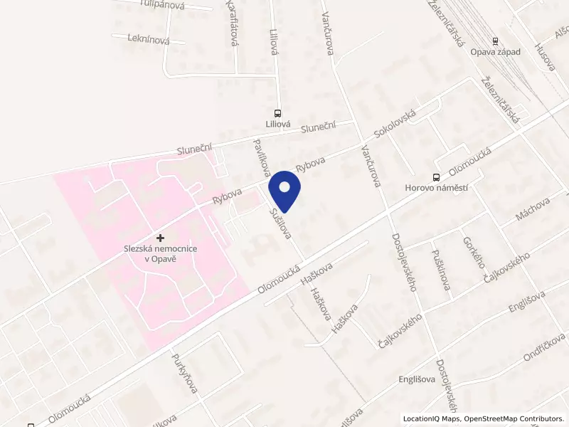 Armádní noviny s.r.o., Sušilova 1007/4, 74601 Opava - Předměstí, IČO 14237199