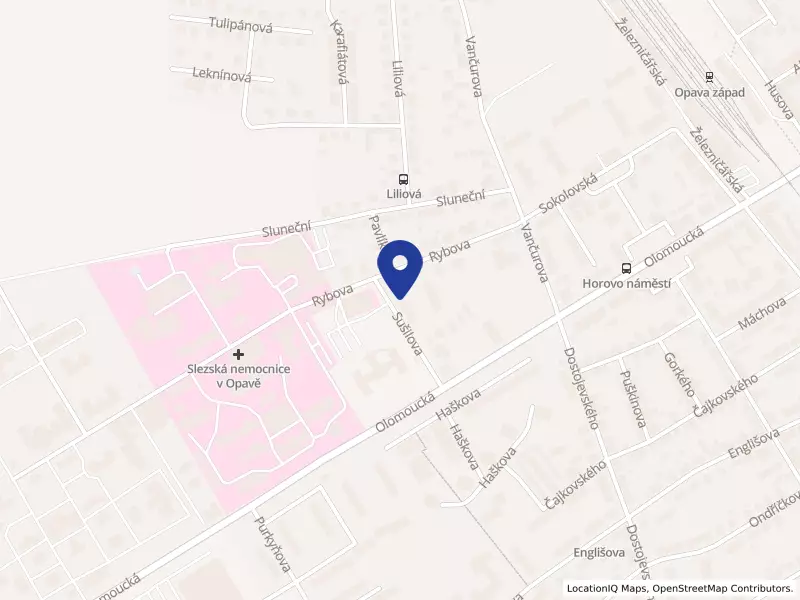 O.K. SPED, s.r.o., Sušilova 1009/8, 74601 Opava - Předměstí, IČO 61943371