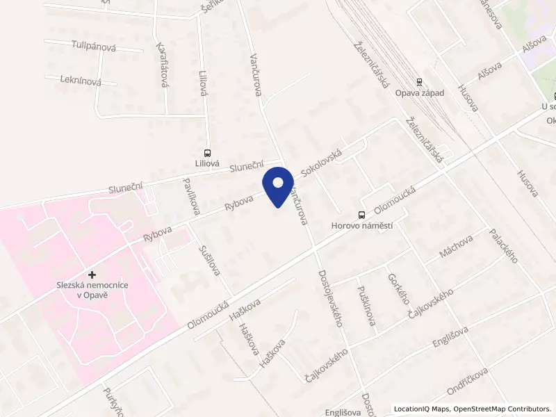 Vila Vančurova o.p.s., Vančurova 1217/5, 74601 Opava - Předměstí, IČO 02250152