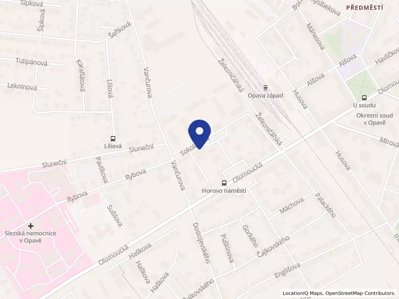 VIDUM spol. s r.o., Sokolovská 1169/7, 74601 Opava - Předměstí, IČO 26844796