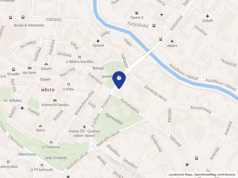 Základní škola, Opava, Praskova 411, příspěvková organizace, Opava, Praskova 411/14, 74601 Opava - Město, IČO 47813482