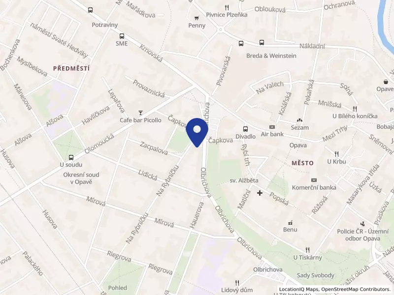 Slezská univerzita v Opavě, Na Rybníčku 626/1, 74601 Opava - Předměstí, IČO 47813059