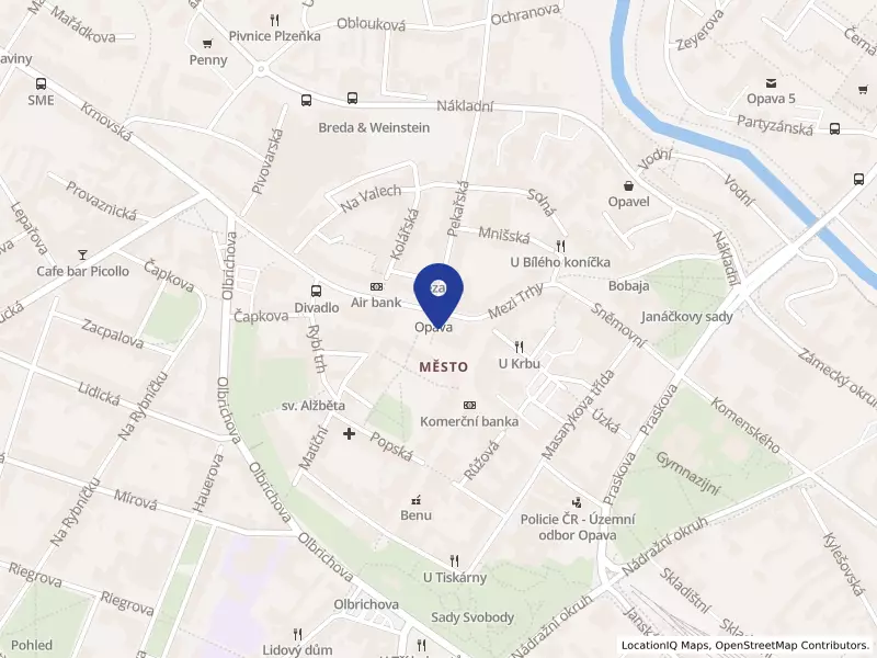 Statutární město Opava, Horní náměstí 382/69, 74601 Opava - Město, IČO 00300535