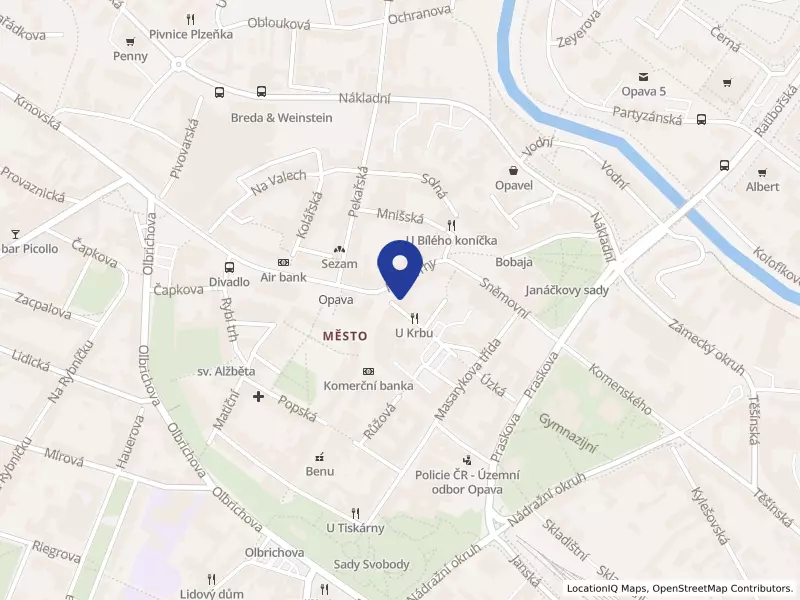NEJ-jídlo s.r.o., Opava, Horní náměstí 289/52, 74601 Opava - Město, IČO 06097651