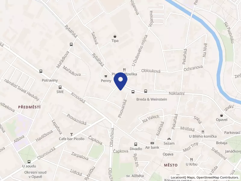BNET Business, s.r.o., Opava, Nákladní 3002/2, 74601 Opava - Předměstí, IČO 06846904