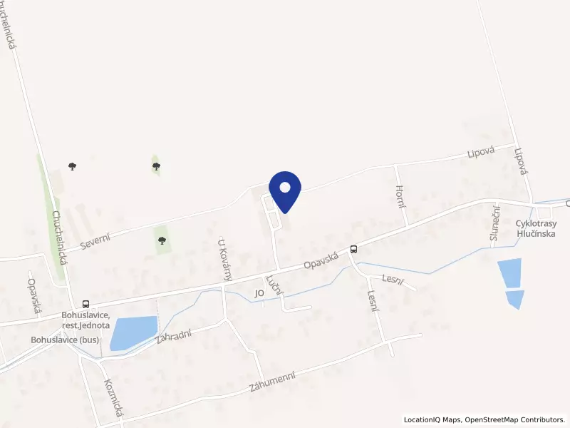 Canis Prosper s.r.o., Opavská 26, 74719 Bohuslavice - Bohuslavice, IČO 27857808