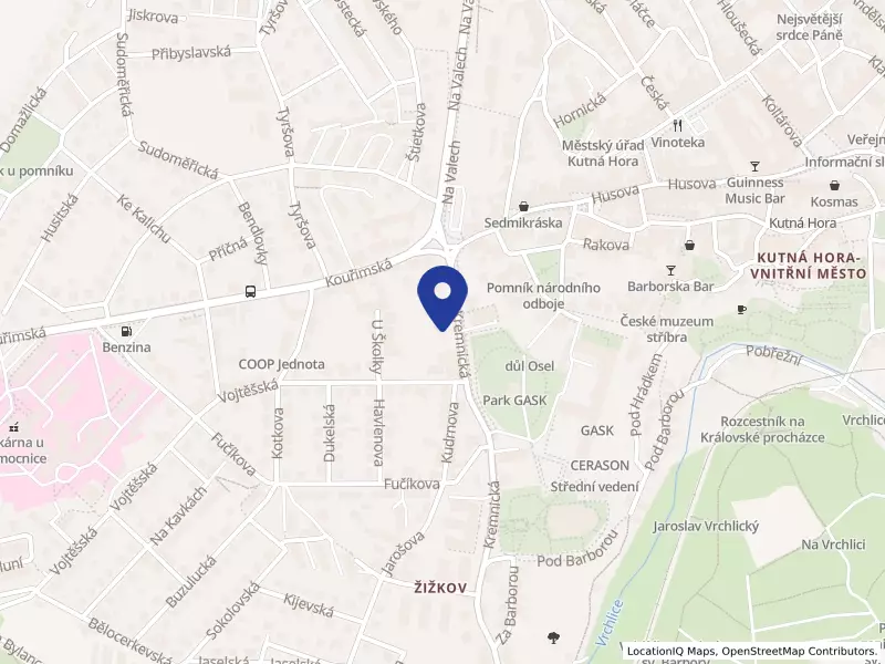 Dům dětí a mládeže, Kutná Hora, Kremnická 32, Kutná Hora, Kremnická 32/8, 28401 Kutná Hora - Žižkov, IČO 00066257