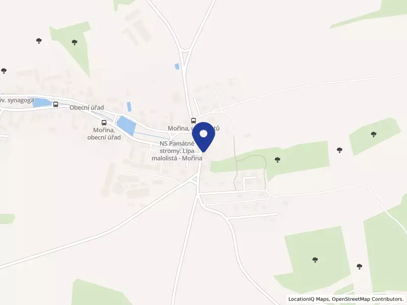 Základní škola a mateřská škola Mořina, okres Beroun, příspěvková organizace, 57, 26717 Mořina - Mořina, IČO 47559373