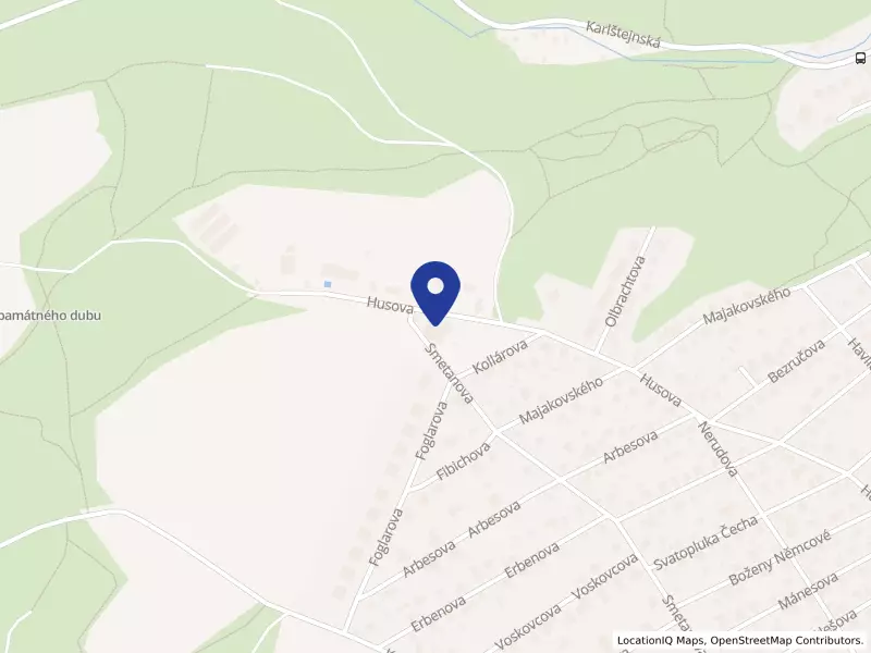 Mateřská škola Husova, příspěvková organizace, Husova 2336, 25228 Černošice - Černošice, IČO 08084301