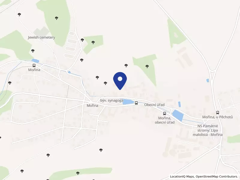 ConLogistic s.r.o., Mořina, 17, 26717 Mořina - Mořina, IČO 11916061