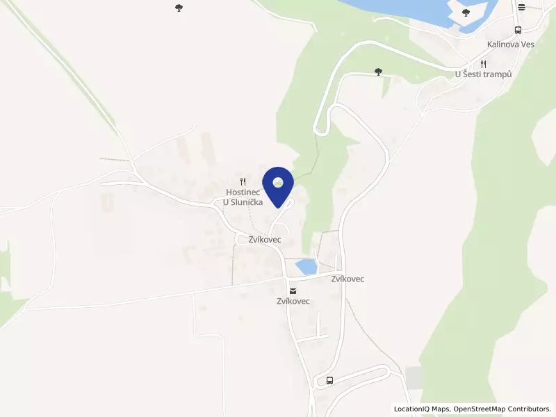 Domov Zvíkovecká kytička, 99, 33808 Zvíkovec - Zvíkovec, IČO 70887195