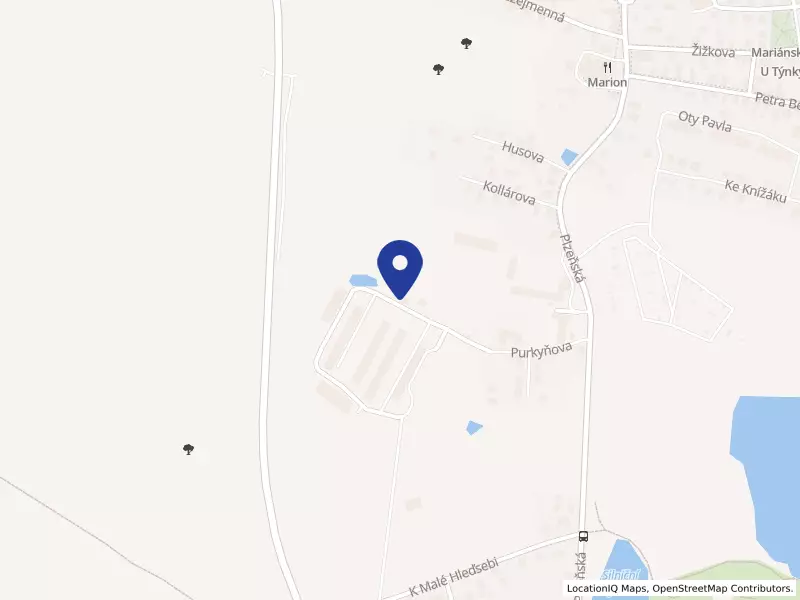 GasPro Mar. Lázně s.r.o., Purkyňova 1, 35301 Velká Hleďsebe - Velká Hleďsebe, IČO 62245031