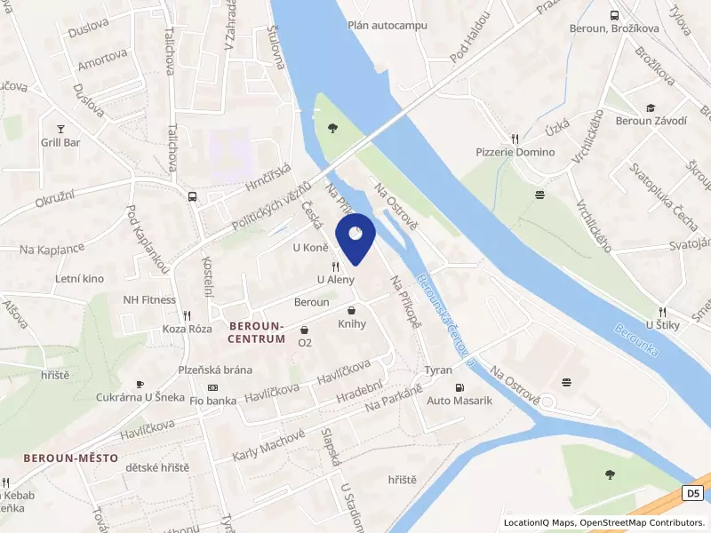 Profesionals Beroun s.r.o., Husovo nám. 64/35, 26601 Beroun - Beroun-Centrum, IČO 28453361
