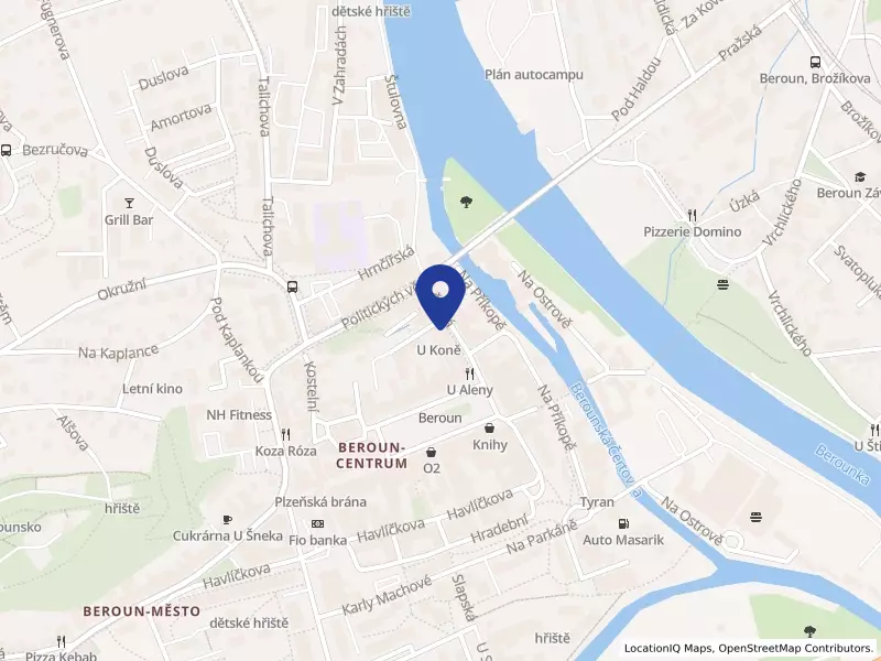 Šíša bar, s.r.o., Česká 51/13, 26601 Beroun - Beroun-Centrum, IČO 13955128