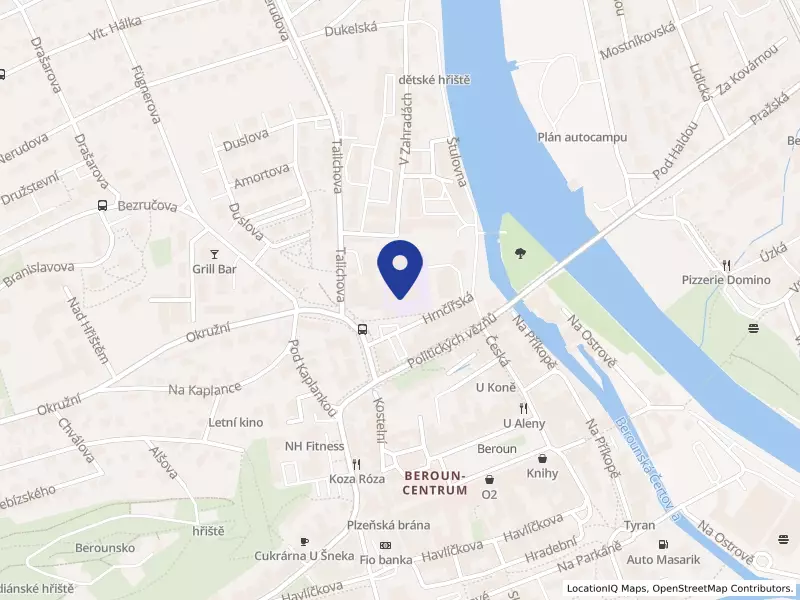 Základní škola Beroun, Wagnerovo náměstí 458, Wagnerovo nám. 458/7, 26601 Beroun - Beroun-Město, IČO 70975001